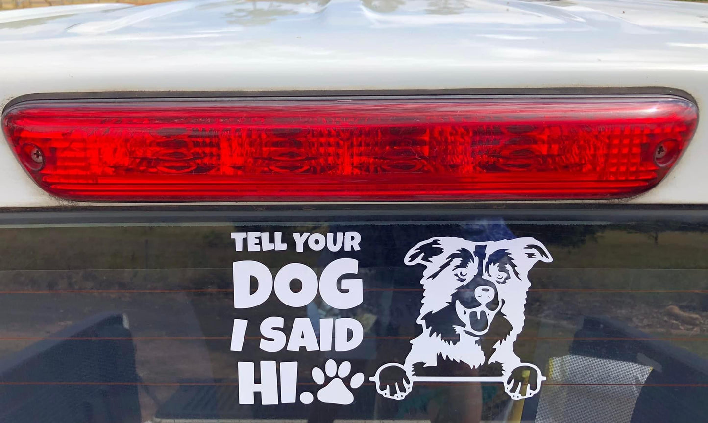 Car Decals - Cat or Dog